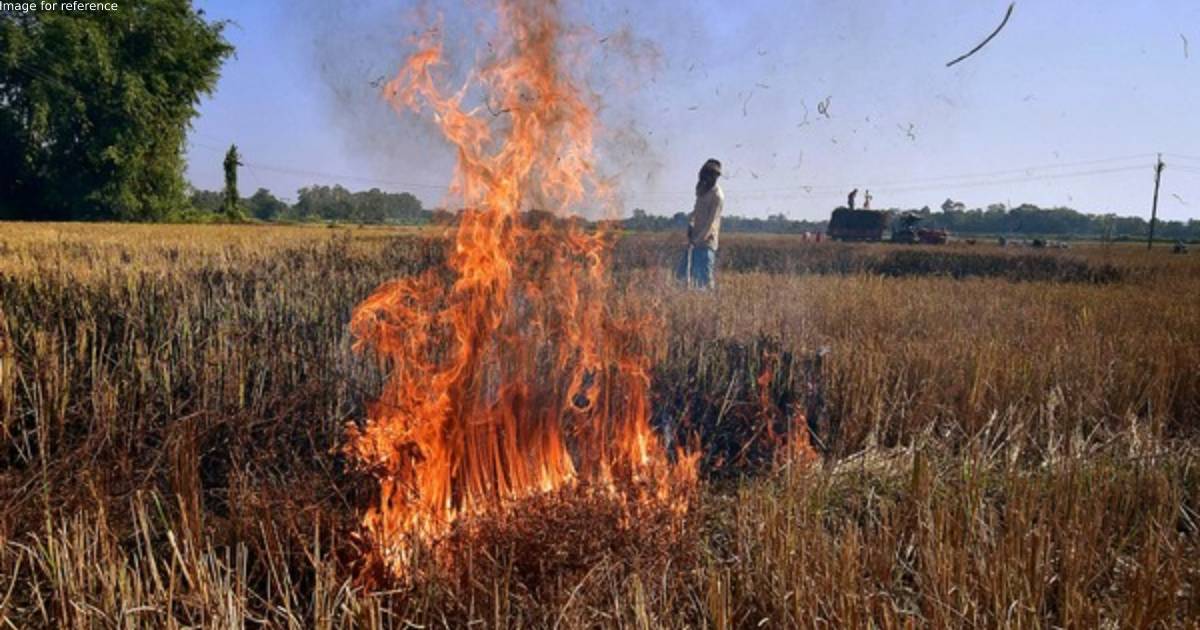 Punjab: Local farmers hits out at government over poor stubble management